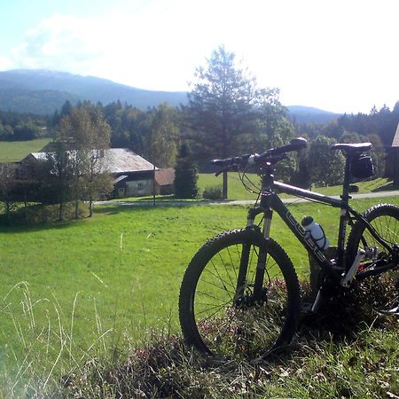 Ferienhaus Mit Seeblick Waldkirchen Dış mekan fotoğraf